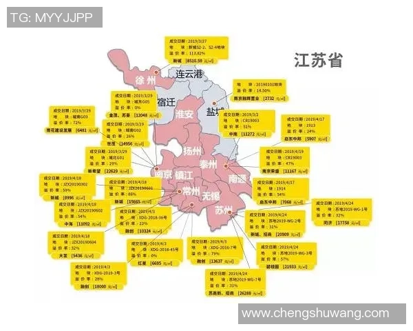 南京排球队的节奏解析与发展趋势探讨